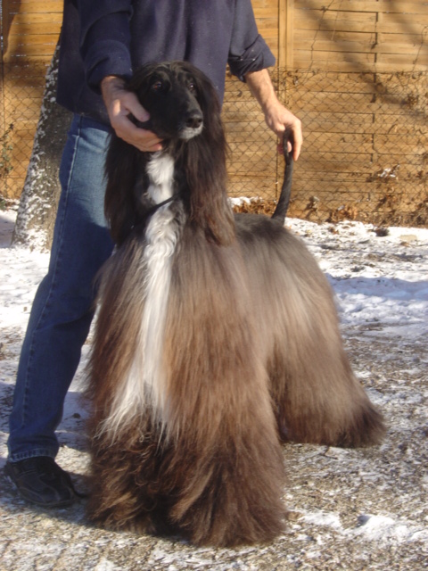 http://img64.xooimage.com/files/9/2/c/dsc01406-23d9163.jpg